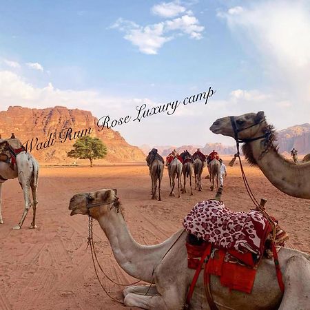 Wadi Rum Rose Luxury Camp Eksteriør billede