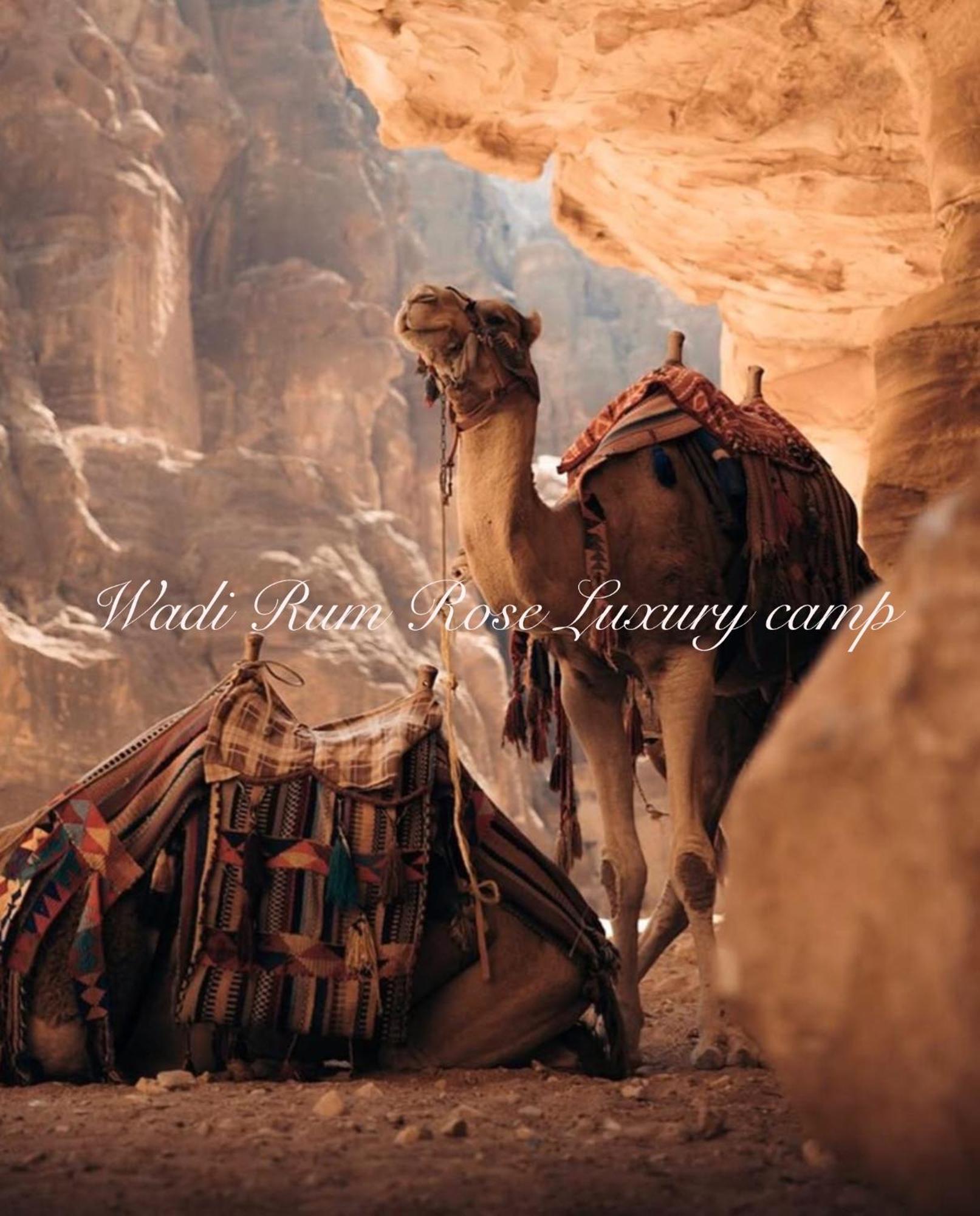 Wadi Rum Rose Luxury Camp Eksteriør billede